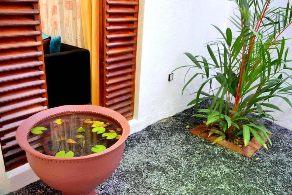 Sobaya Residence Ambalantota Zewnętrze zdjęcie